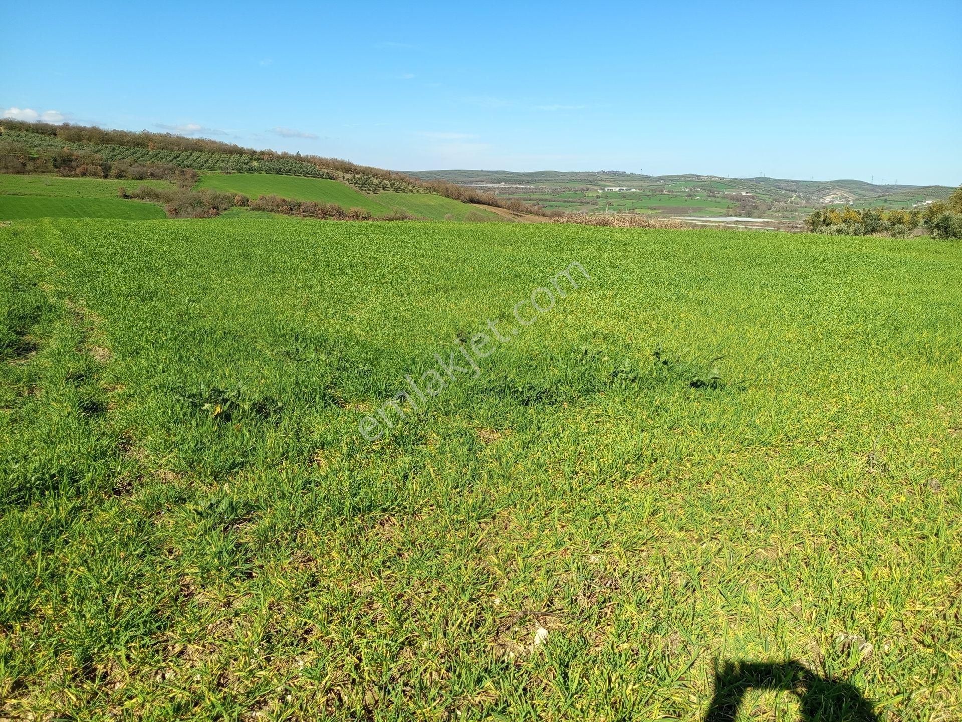 Nilüfer Çaylı Mahallesi Satılık 4.900 Mt2tarla - Görsel 7