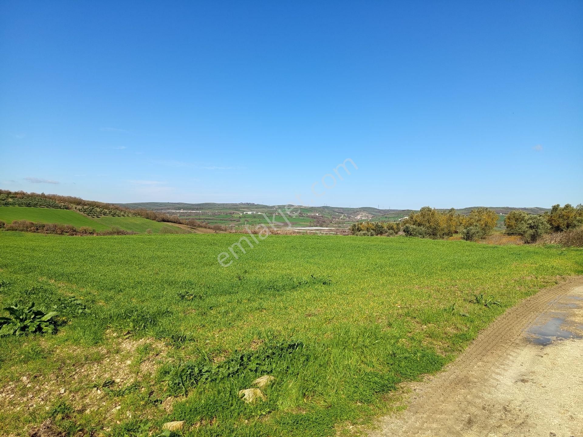 Nilüfer Çaylı Mahallesi Satılık 4.900 Mt2tarla - Görsel 5