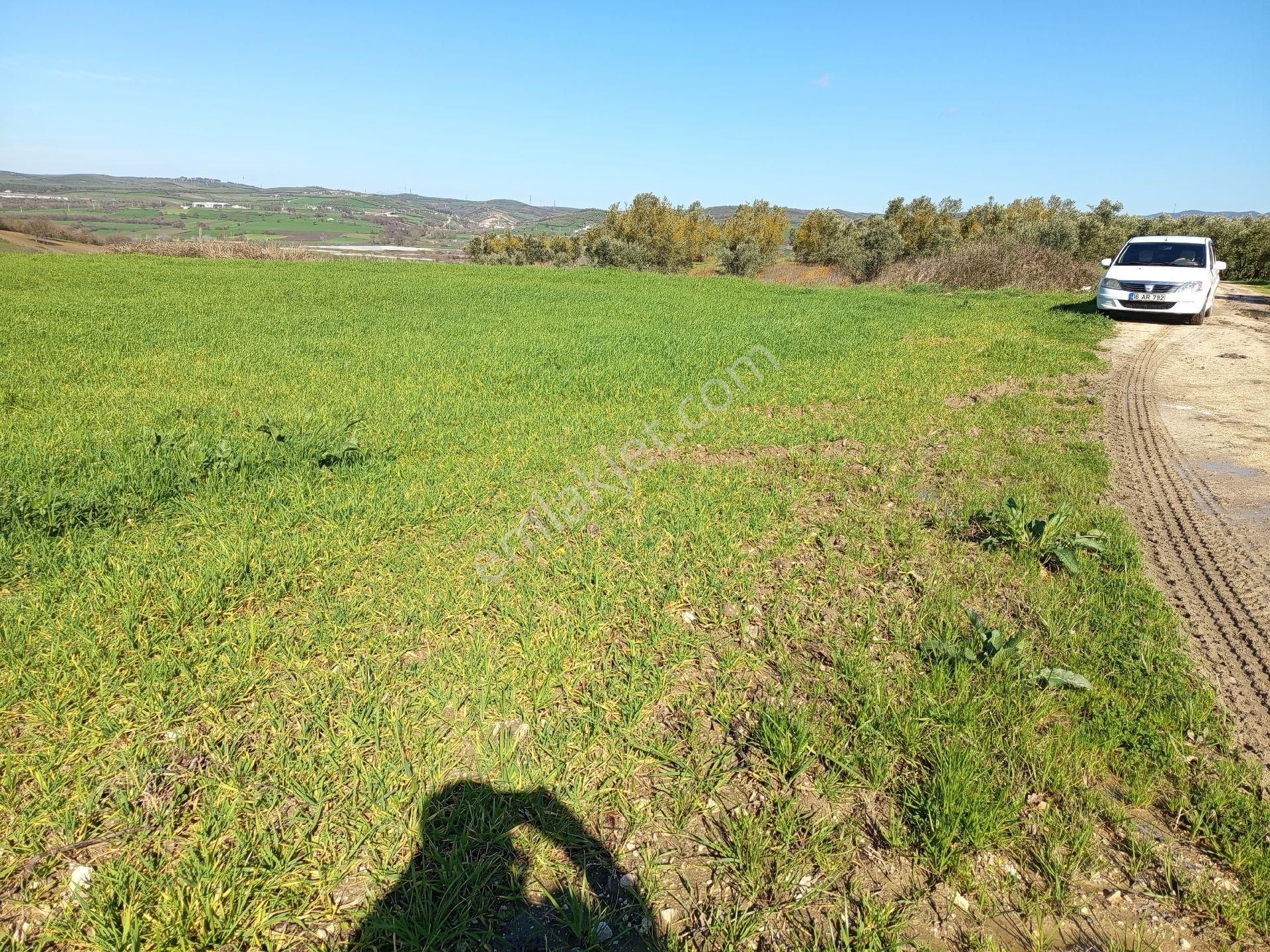 Nilüfer Çaylı Mahallesi Satılık 4.900 Mt2tarla - Görsel 9