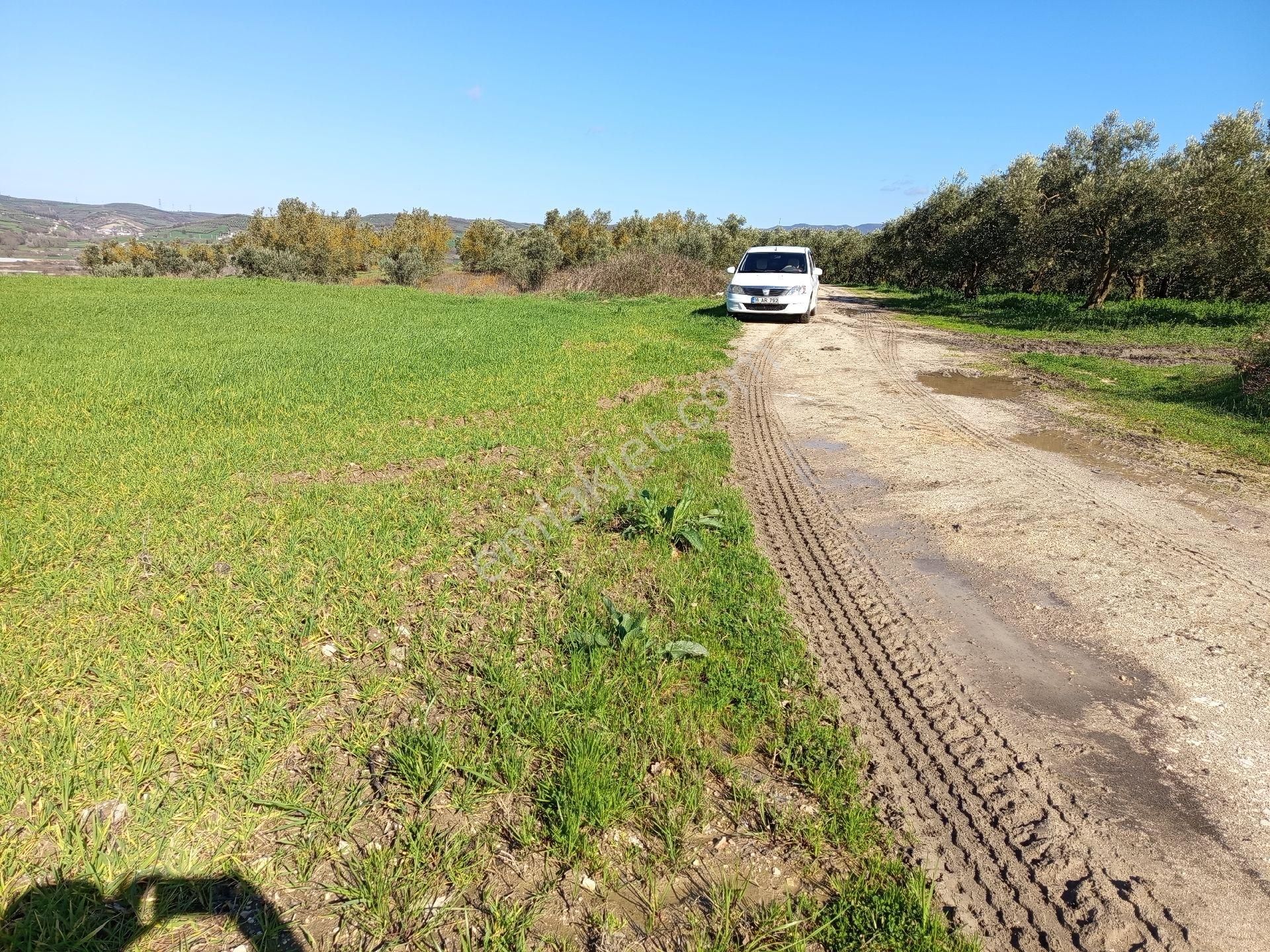 Nilüfer Çaylı Mahallesi Satılık 4.900 Mt2tarla - Görsel 8