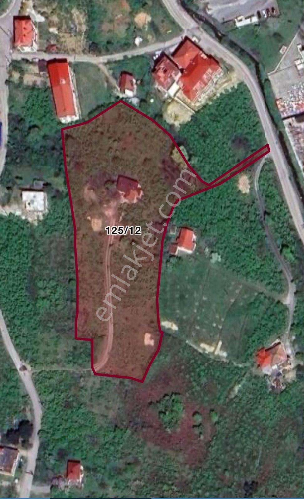 Golden Key Gayrimenkul'den Arsin'de Deniz Manzaralı Arsa - Görsel 4