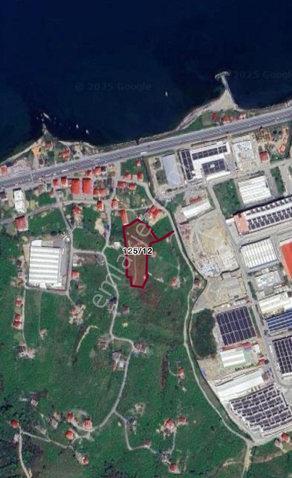 Golden Key Gayrimenkul'den Arsin'de Deniz Manzaralı Arsa - Görsel 5