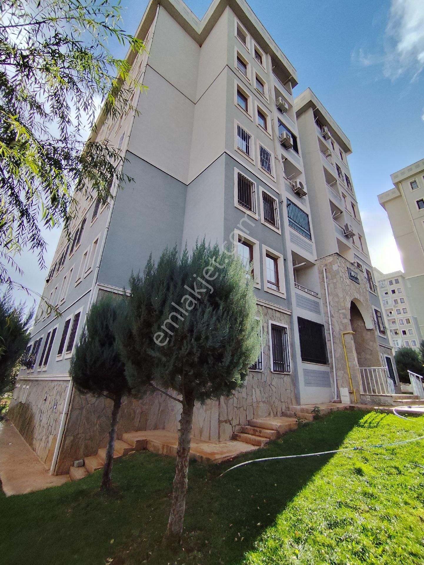 Akziyaret Emlak Tan Kiralık 2 +1 Arakat - Görsel 3