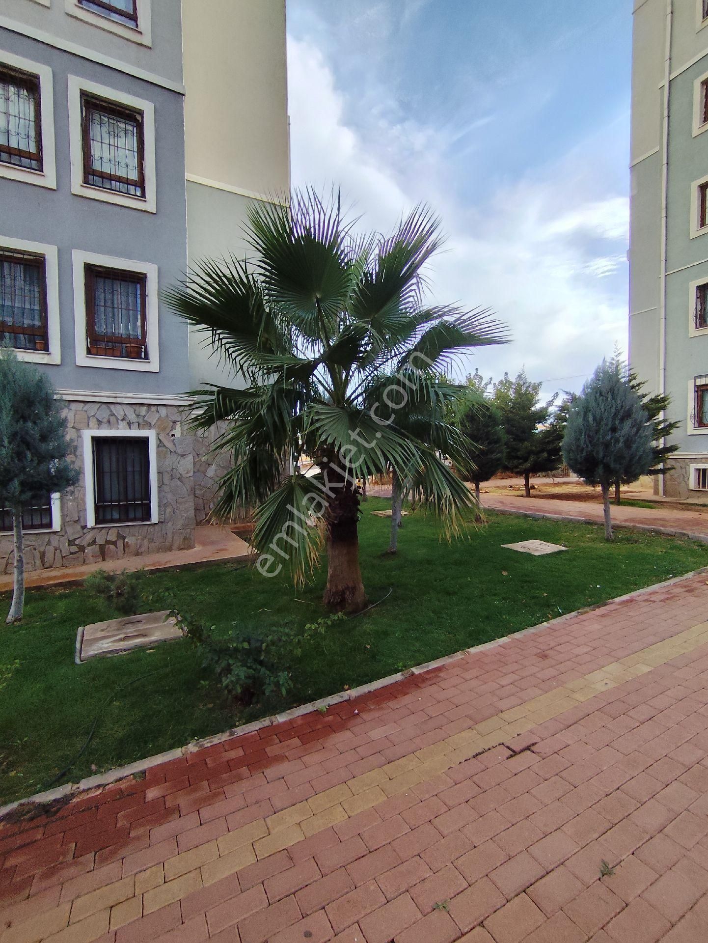 Akziyaret Emlak Tan Kiralık 2 +1 Arakat - Görsel 2