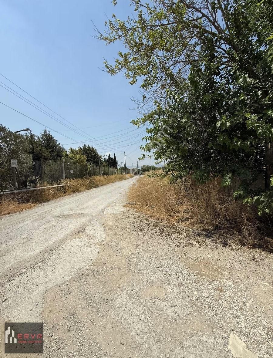 Urla Cami Atik'de 250 M2 Fırsat Parsel - Görsel 5