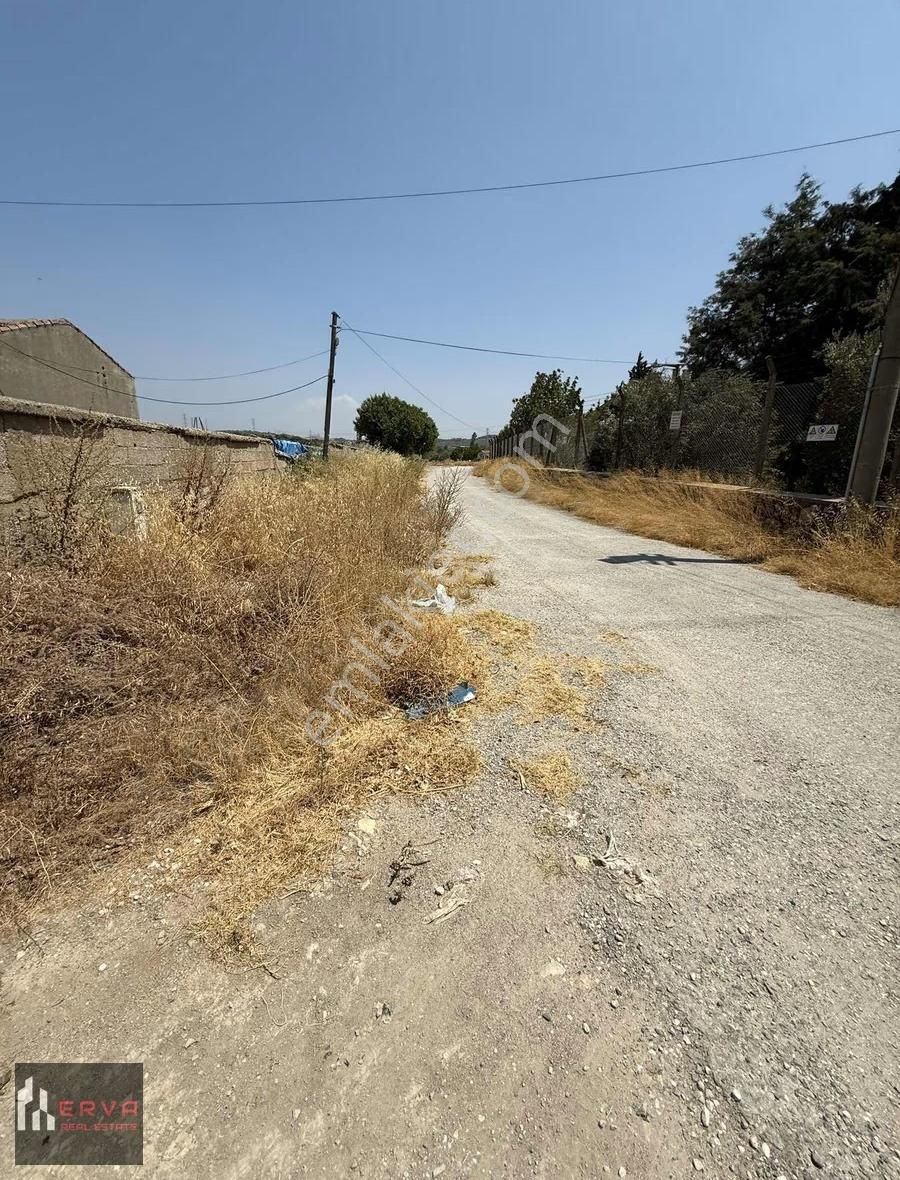 Urla Cami Atik'de 250 M2 Fırsat Parsel - Görsel 3