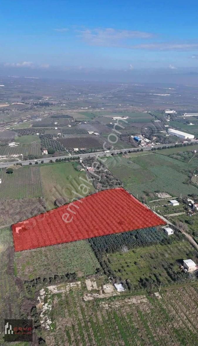 Kemalpaşa Hürriyet De Ankara Asfaltına Sıfır Konumda Arazi - Görsel 4