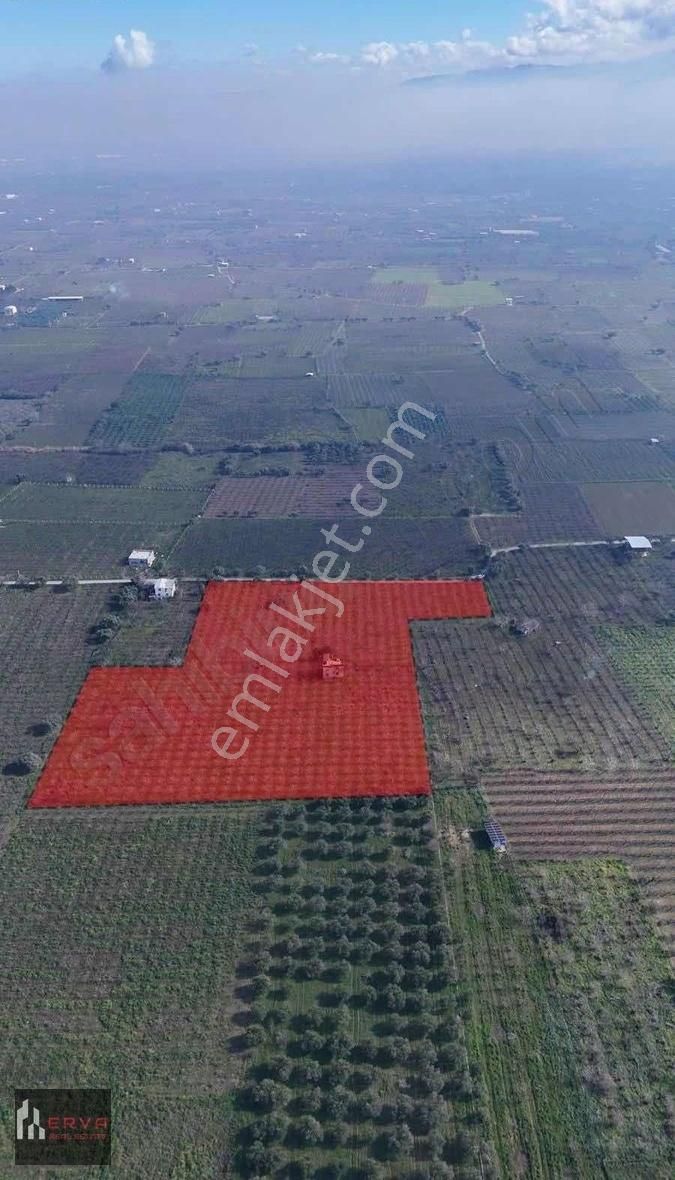 Kemalpaşa Ören'de Fırsat Arazi - Görsel 3