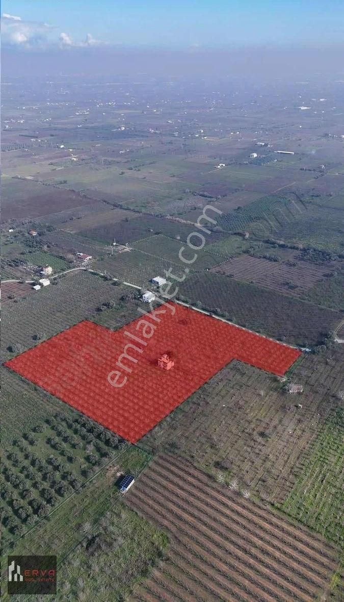 Kemalpaşa Ören'de Fırsat Arazi - Görsel 8