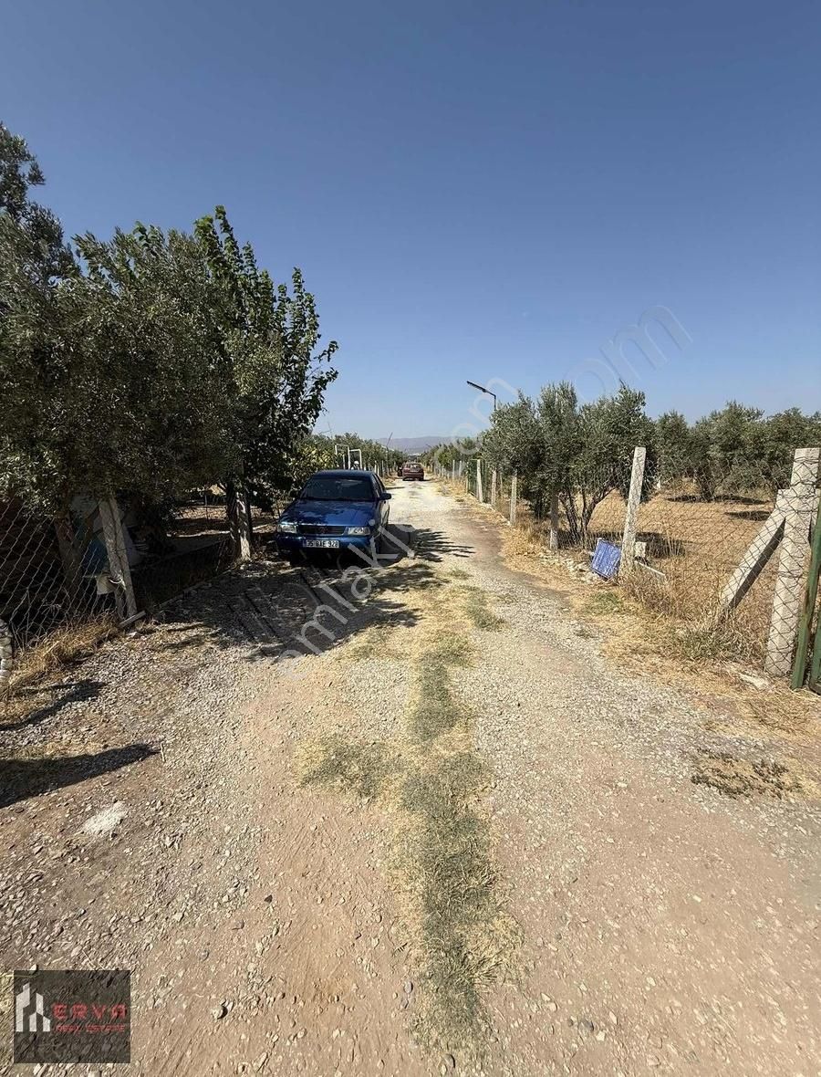 Menderes Oğlananası'nda Satılık 1+1 Konteynırlı Bahçe - Görsel 3