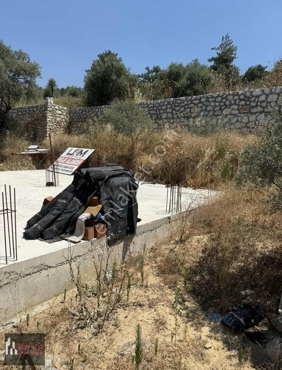 Torbalı Dirmilde Satılık Zeytinlik Tek Tapu - Görsel 5