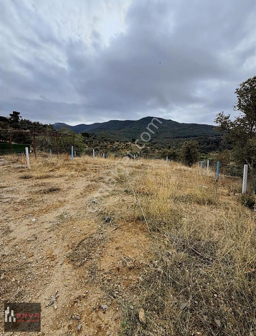 Kemalpaşa Yeşil Köyde Satalık Tarla Hisse Tapulu