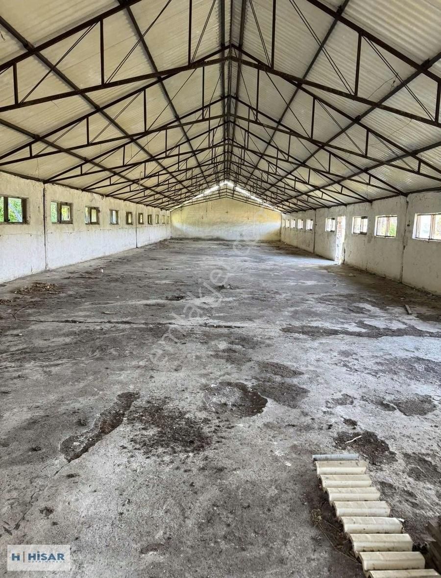 Hisardan Kavakda-komple Çevrili-500m2 Kapalı Ahır-asfalt Y. Cphe - Görsel 16