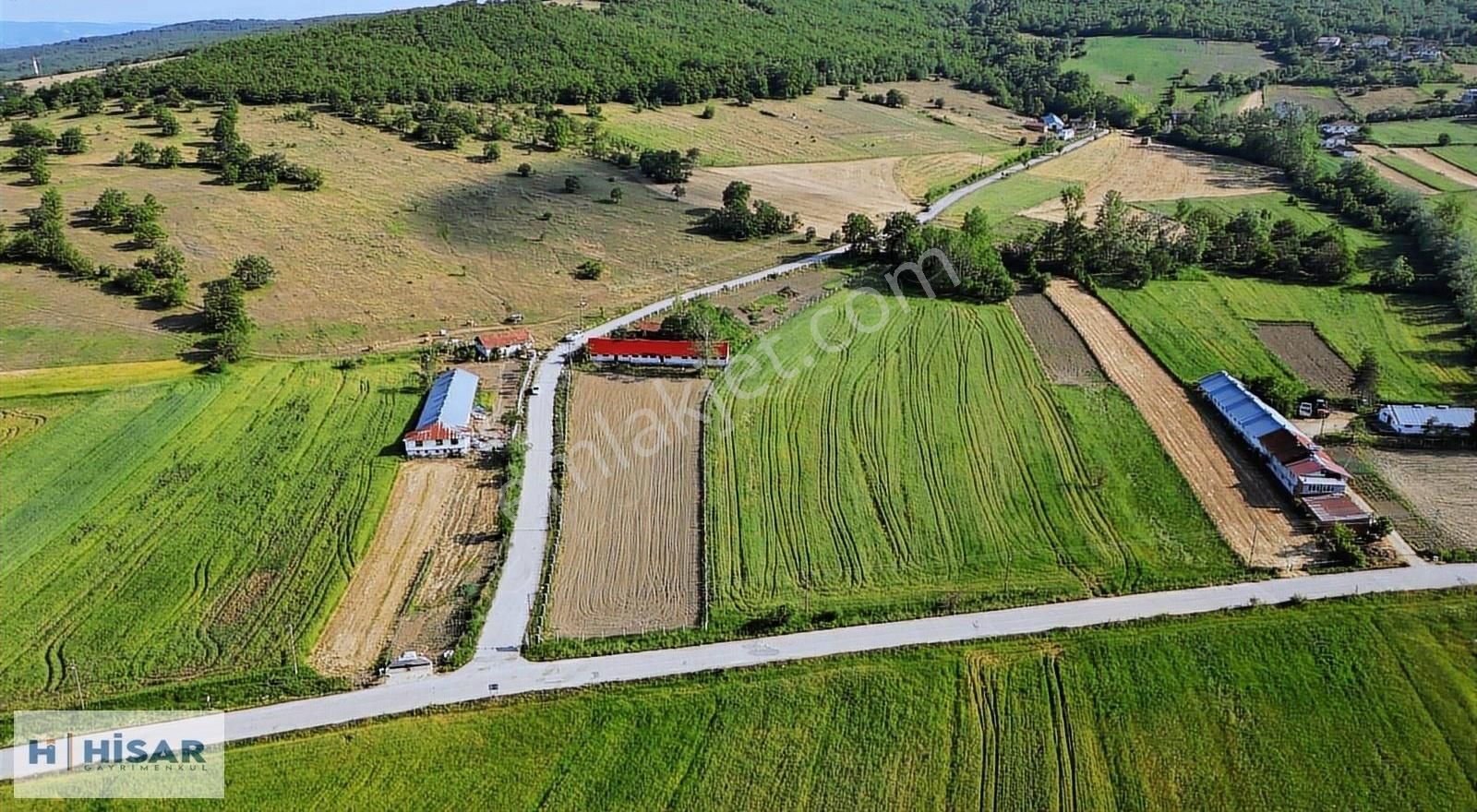 Hisardan Kavakda-komple Çevrili-500m2 Kapalı Ahır-asfalt Y. Cphe - Görsel 19