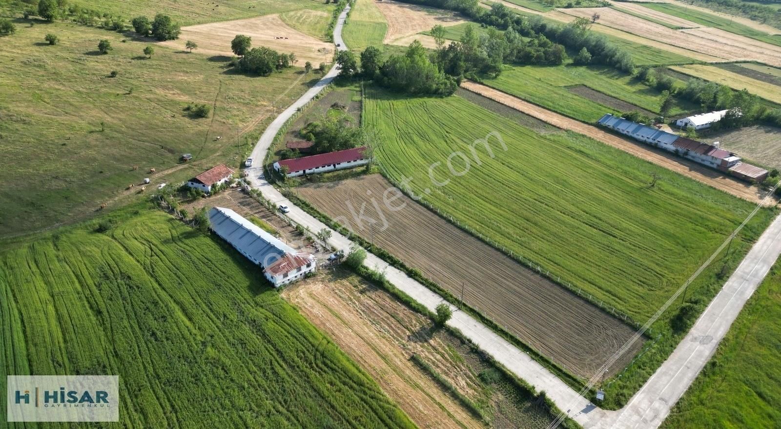 Hisardan Kavakda-komple Çevrili-500m2 Kapalı Ahır-asfalt Y. Cphe - Görsel 21