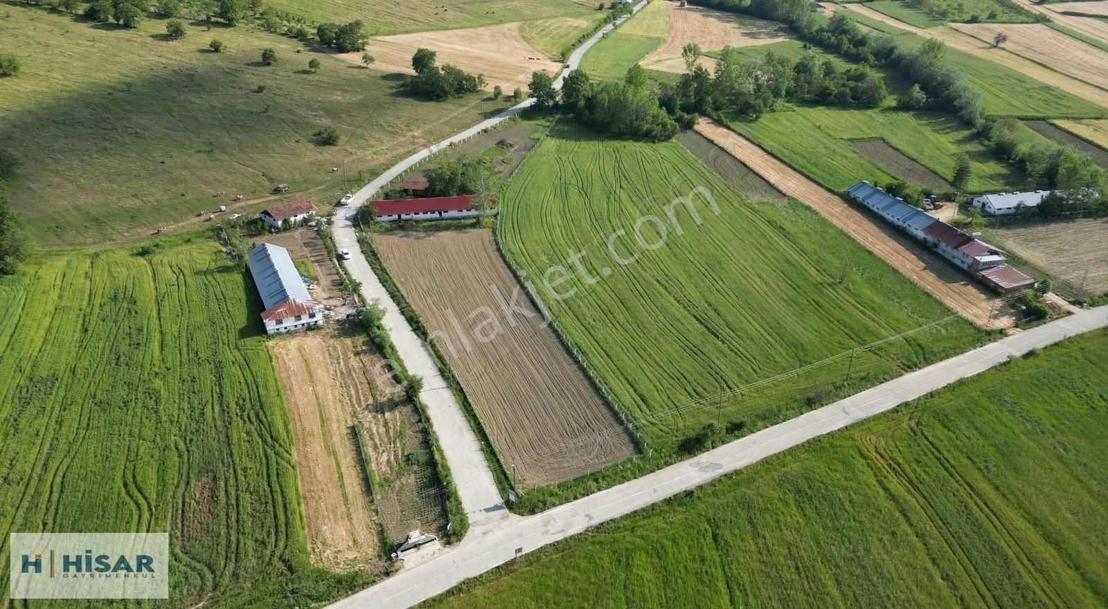 Hisardan Kavakda-komple Çevrili-500m2 Kapalı Ahır-asfalt Y. Cphe - Görsel 15