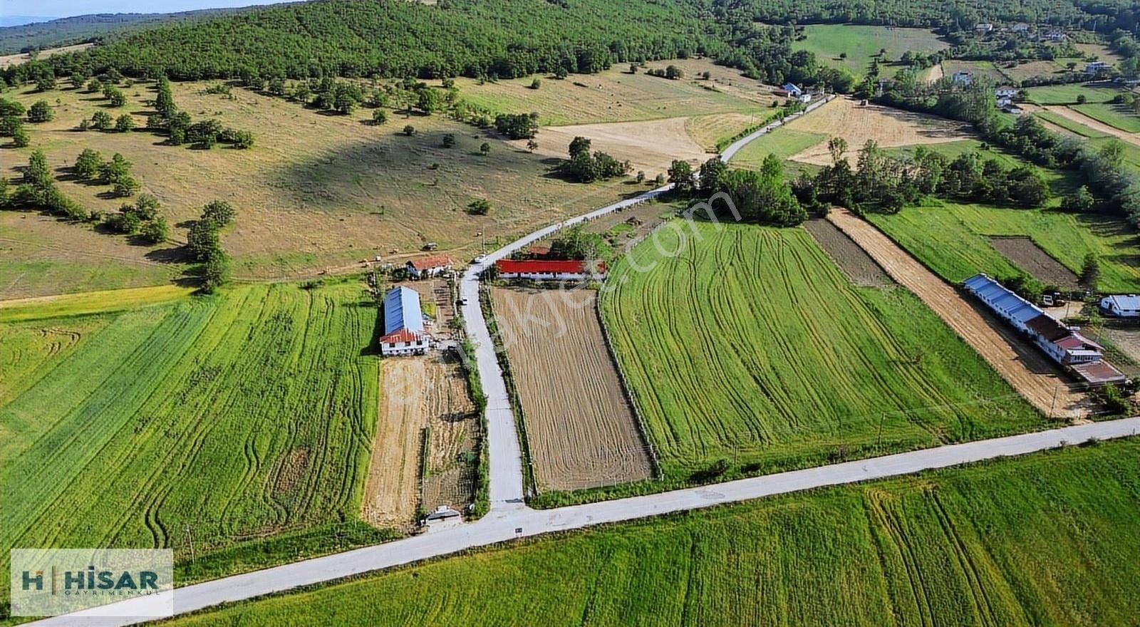 Hisardan Kavakda-komple Çevrili-500m2 Kapalı Ahır-asfalt Y. Cphe - Görsel 10