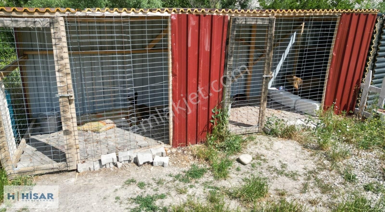 Hisar'dan Havzada Ana Yolun Yanında Kafa Dinlemelik Tarla - Görsel 23