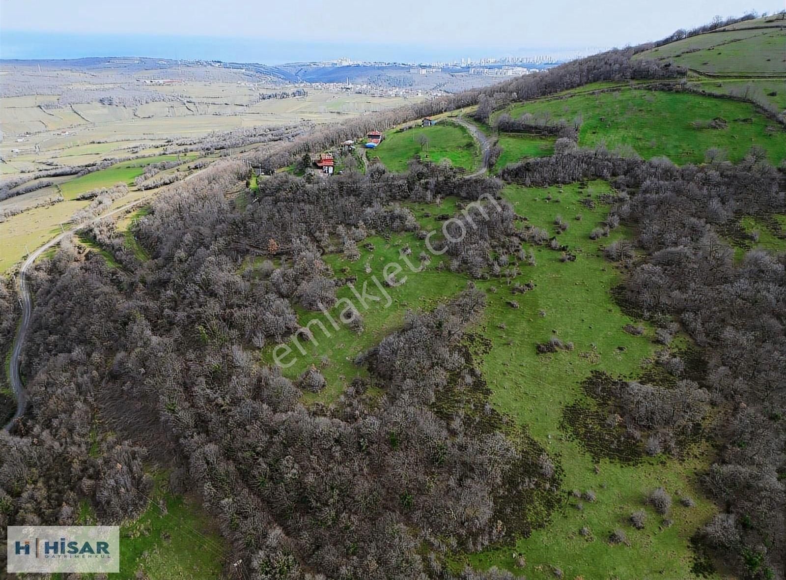 Hisar'dan Karakavuk Mah. 5.883 M2 Deniz Ve Doğa Manzaralı Tarla - Görsel 3