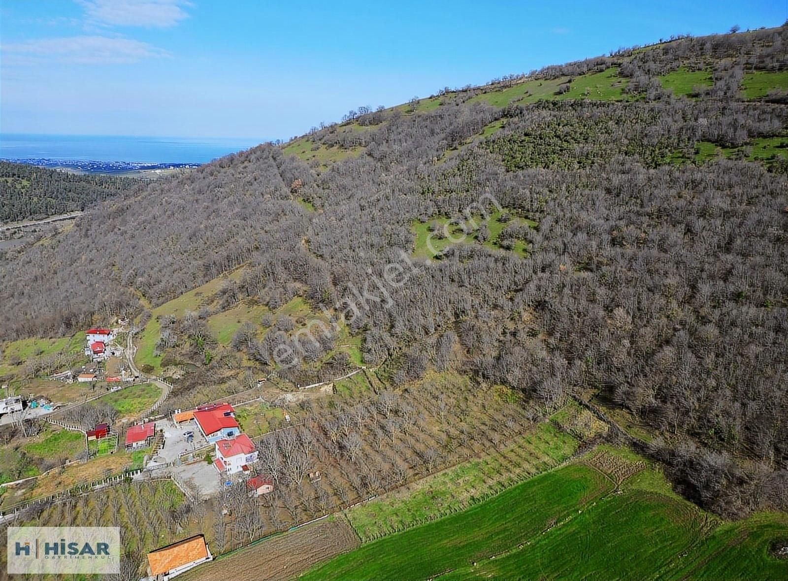 Hisar'dan Karakavuk Mah. 14.236 M2 Yerleşik Alan İçinde Tarla - Görsel 18