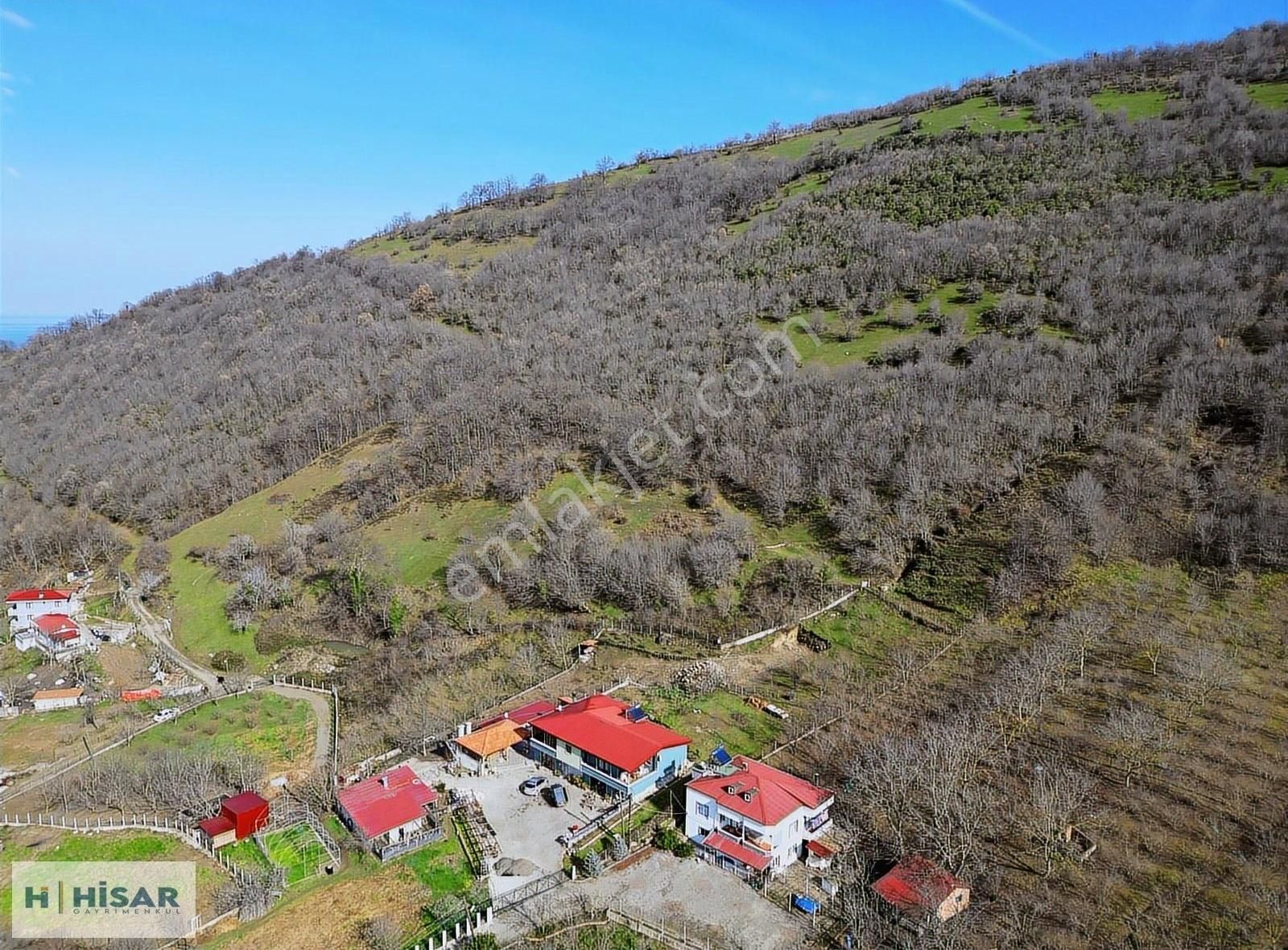 Hisar'dan Karakavuk Mah. 14.236 M2 Yerleşik Alan İçinde Tarla - Görsel 19