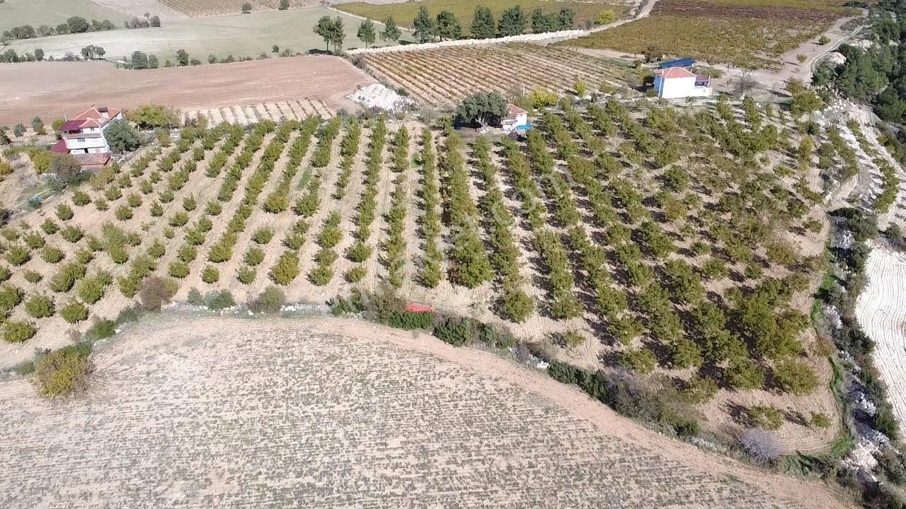 23.500 M2 Ev+elektrik+su Tam Verimde Cevizlik