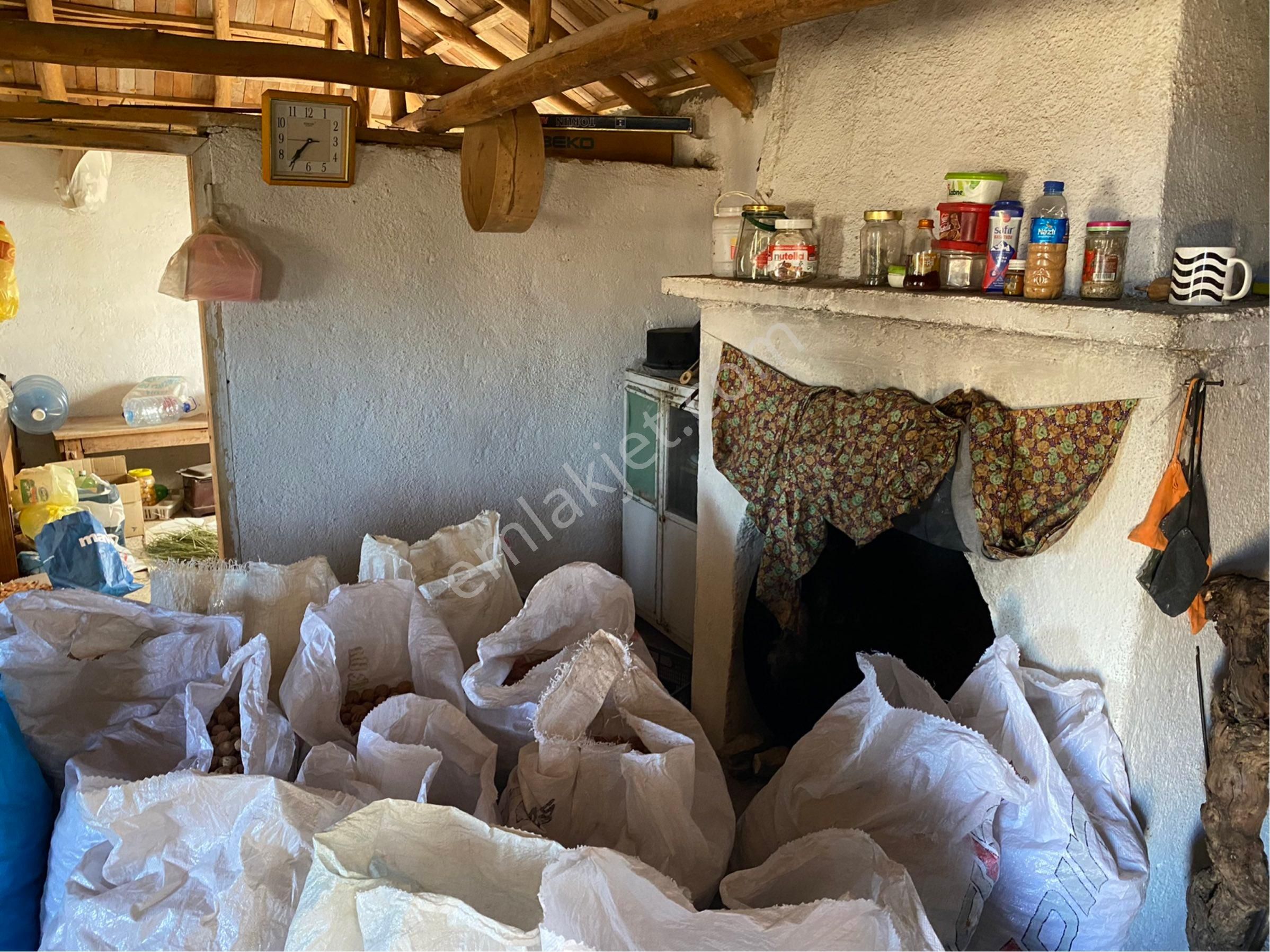 23.500 M2 Ev+elektrik+su Tam Verimde Cevizlik - Görsel 7