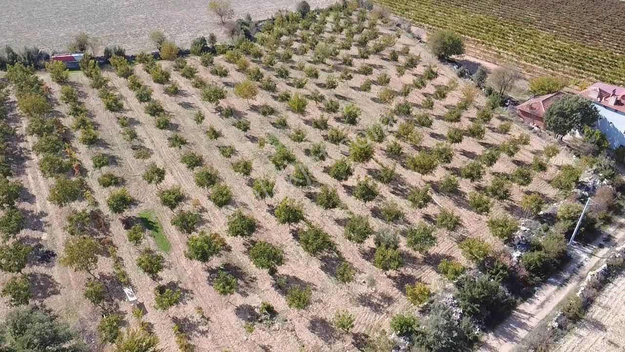 23.500 M2 Ev+elektrik+su Tam Verimde Cevizlik - Görsel 14