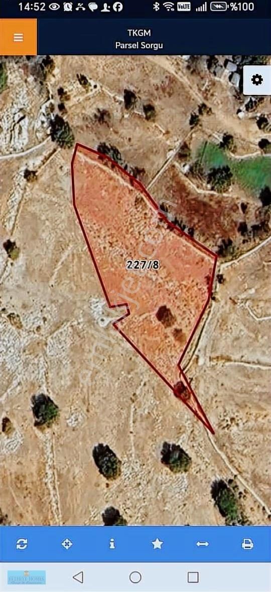 Fethiye Karaağaç Mah. 1969 M² Köyiçi İmarlı Arsa - Görsel 4