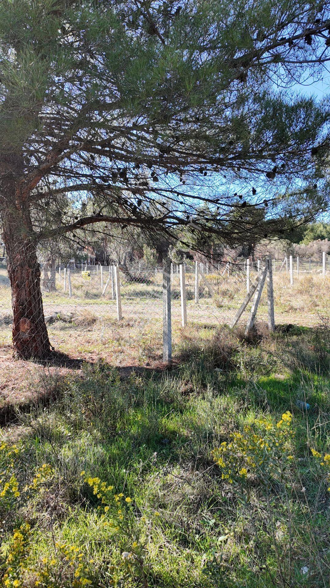 Bornova Yaka Mahallesinde Satılık 338 M2 Bağ Bahçe - Görsel 6