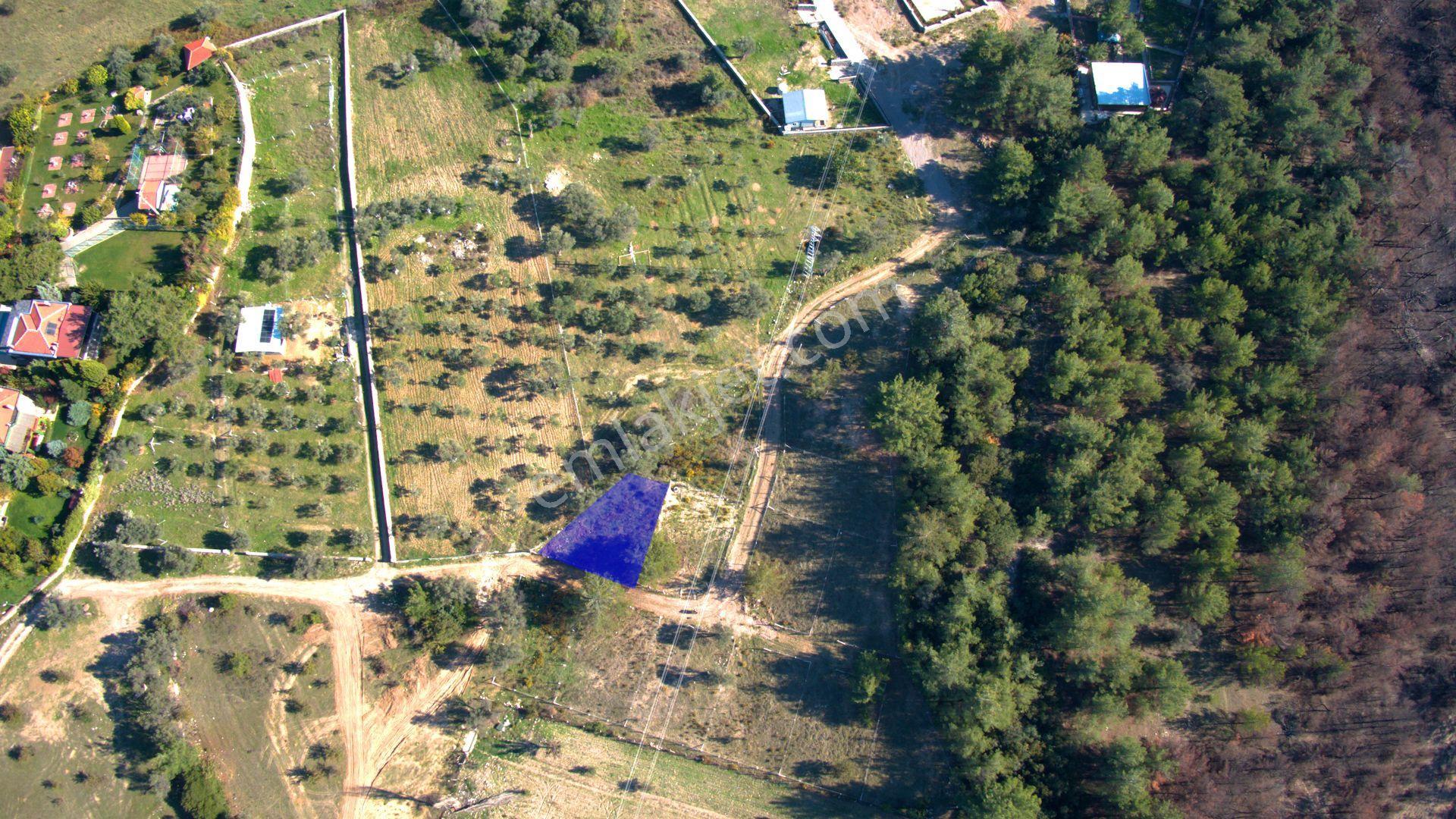 Bornova Yaka Mahallesinde Satılık 338 M2 Bağ Bahçe - Görsel 2