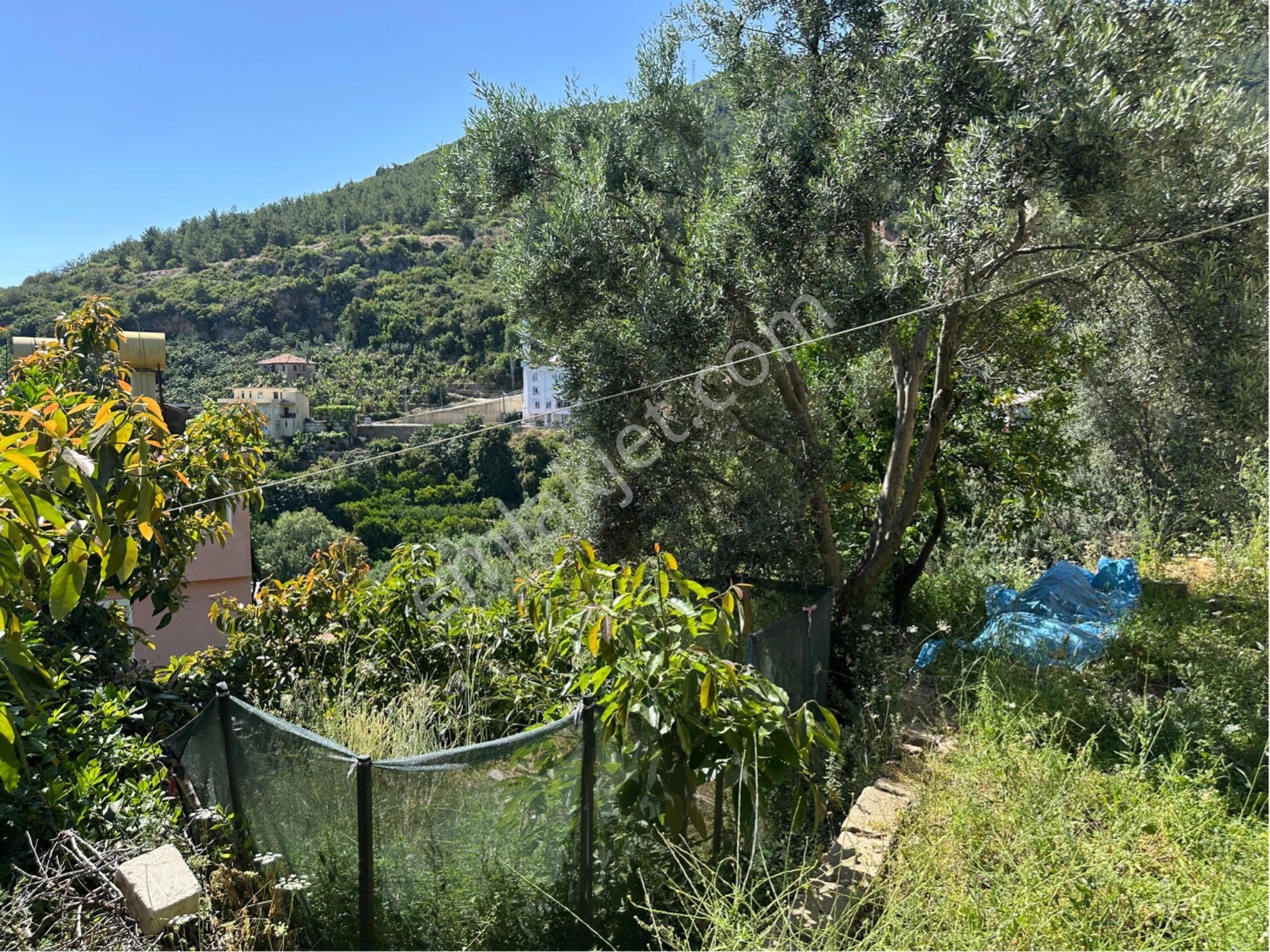 Alanya Hacımehmetli Mah. Deniz Manzaralı 2.400 M2 Satılık Arsa - Görsel 25