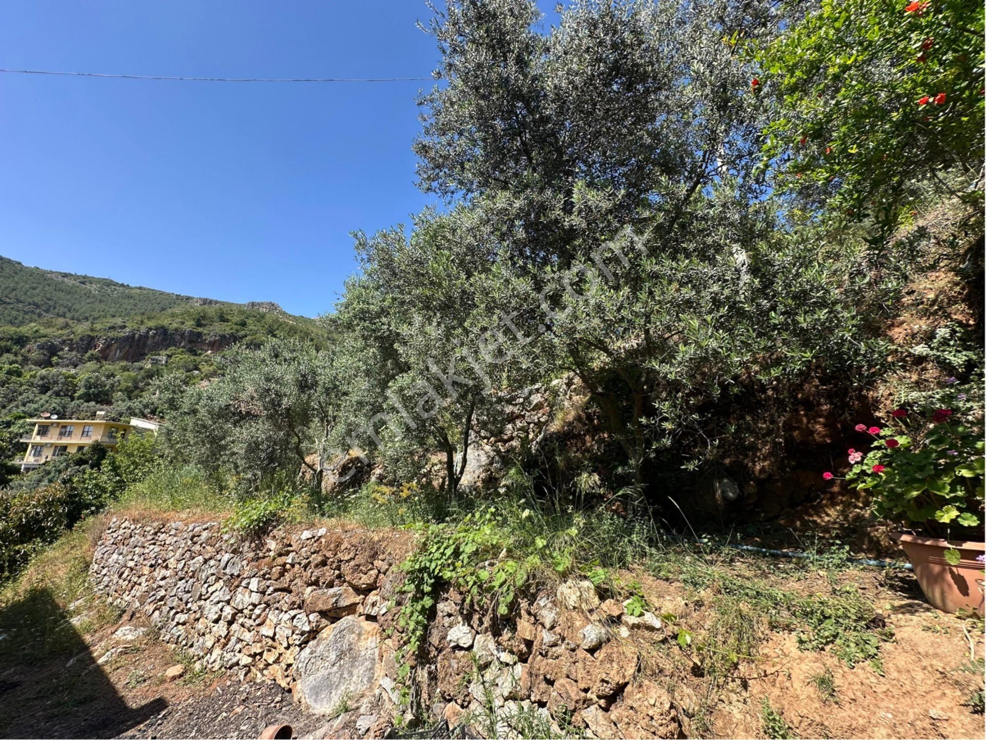 Alanya Hacımehmetli Mah. Deniz Manzaralı 2.400 M2 Satılık Arsa - Görsel 23