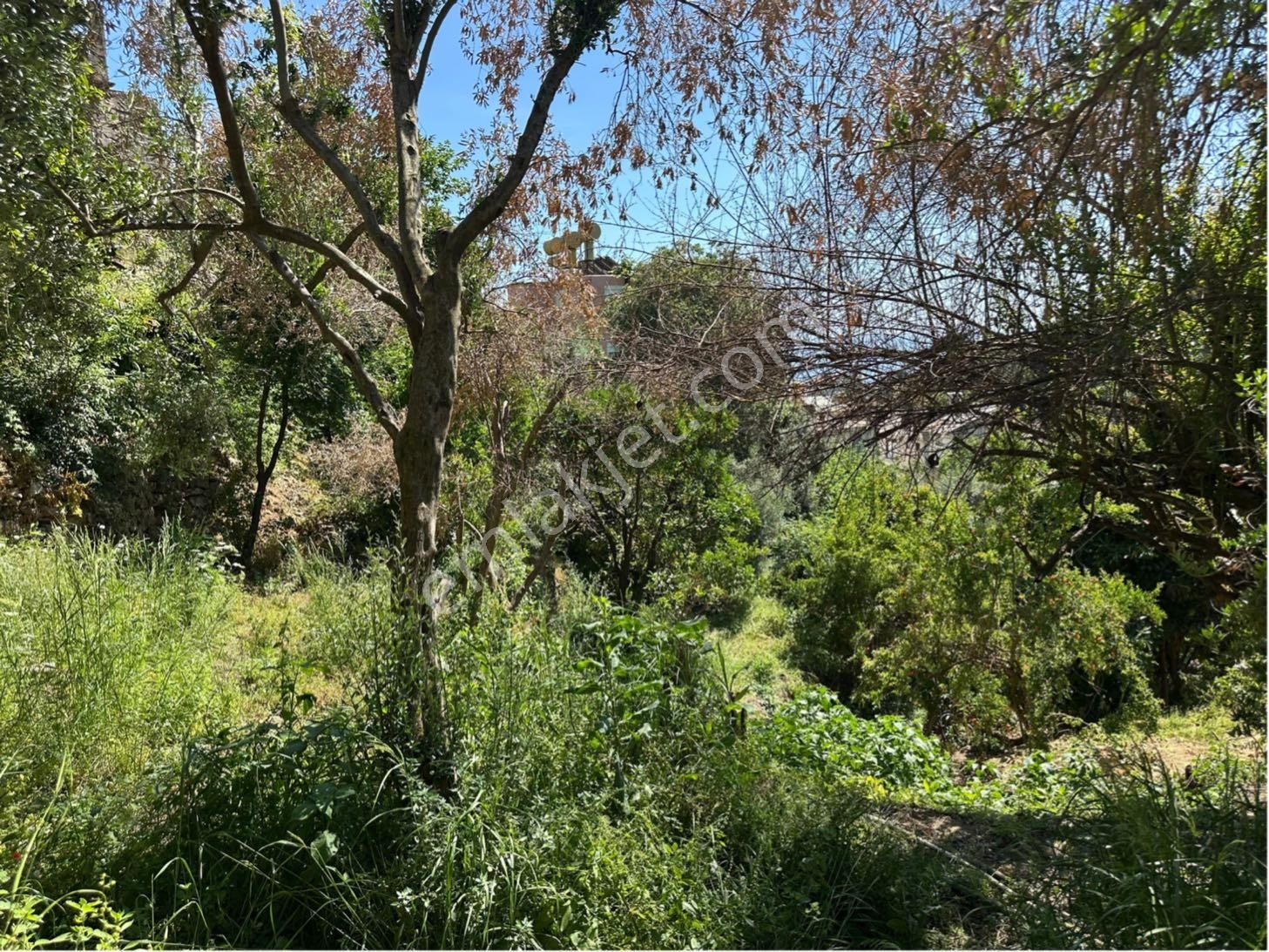 Alanya Hacımehmetli Mah. Deniz Manzaralı 2.400 M2 Satılık Arsa - Görsel 31