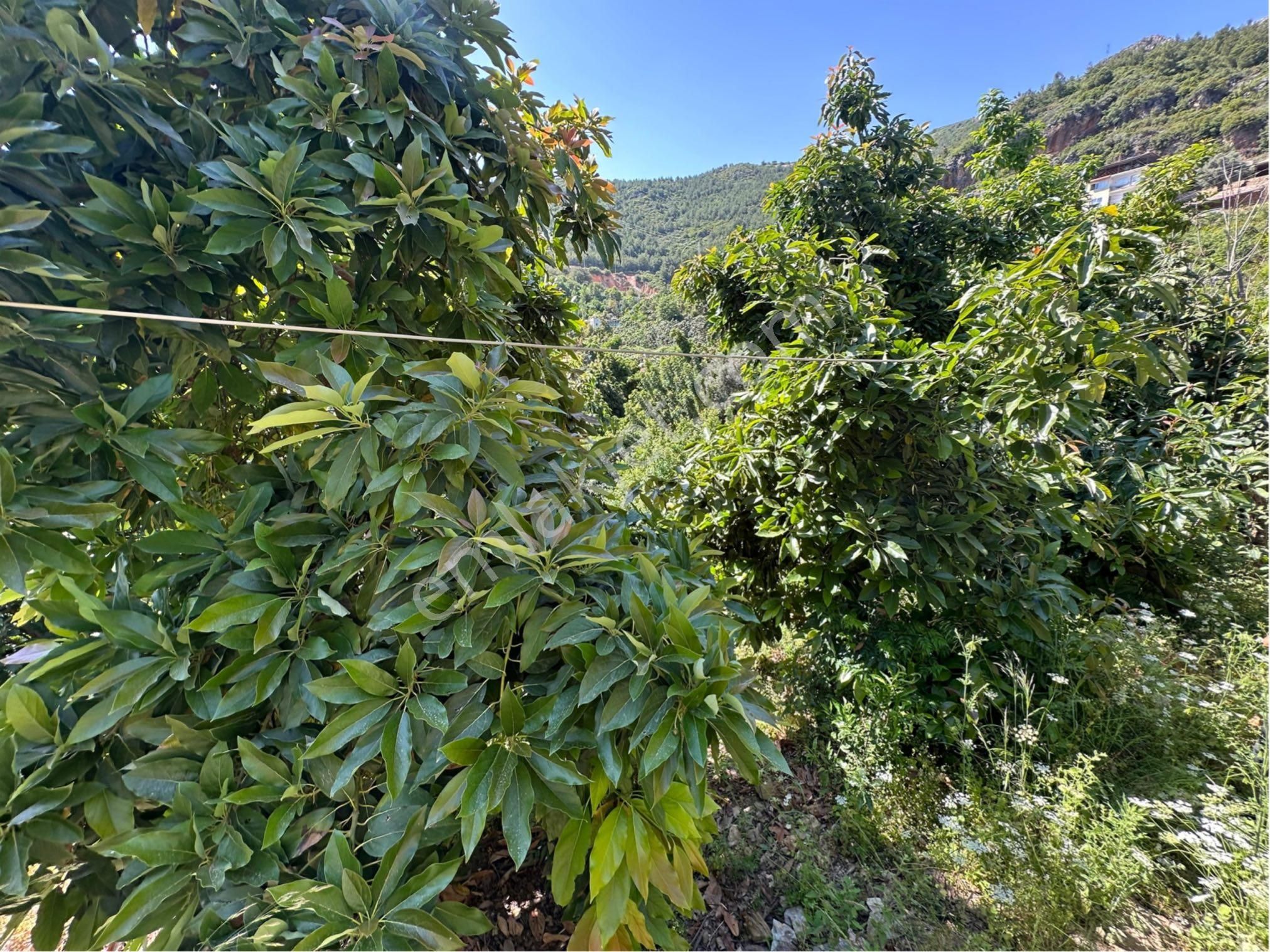 Alanya Hacımehmetli Mah. Deniz Manzaralı 2.400 M2 Satılık Arsa - Görsel 24