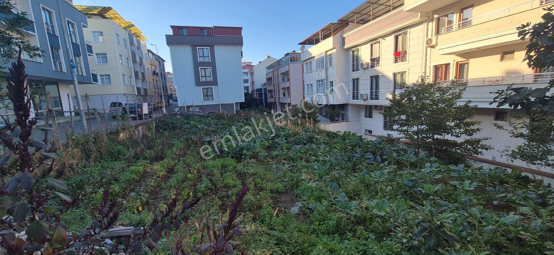 Trabzon Ortahisar Konaklar Mah - Görsel 3