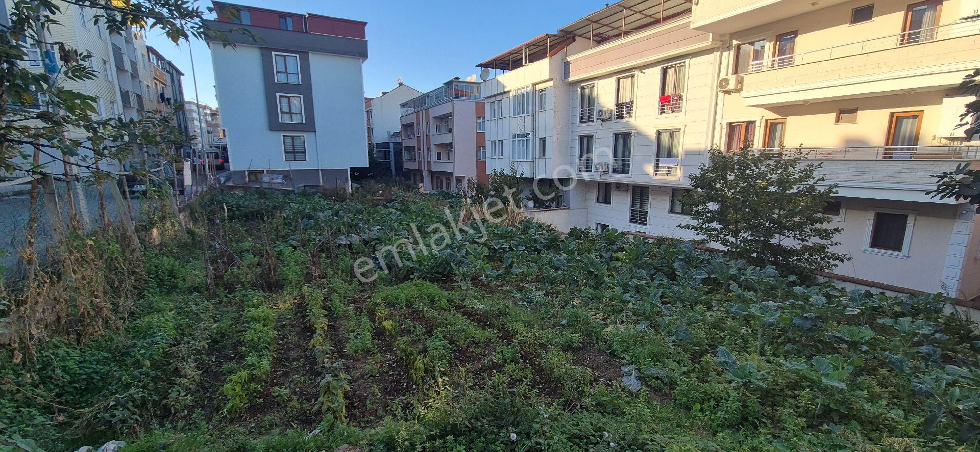 Trabzon Ortahisar Konaklar Mah - Görsel 2