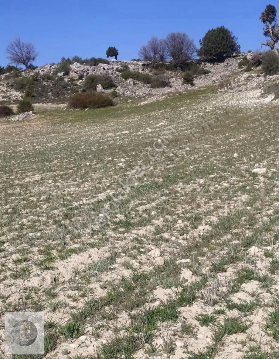 Ceo Gruptan Silifkede Geleceğe Yatırımlık Tarla - Görsel 8