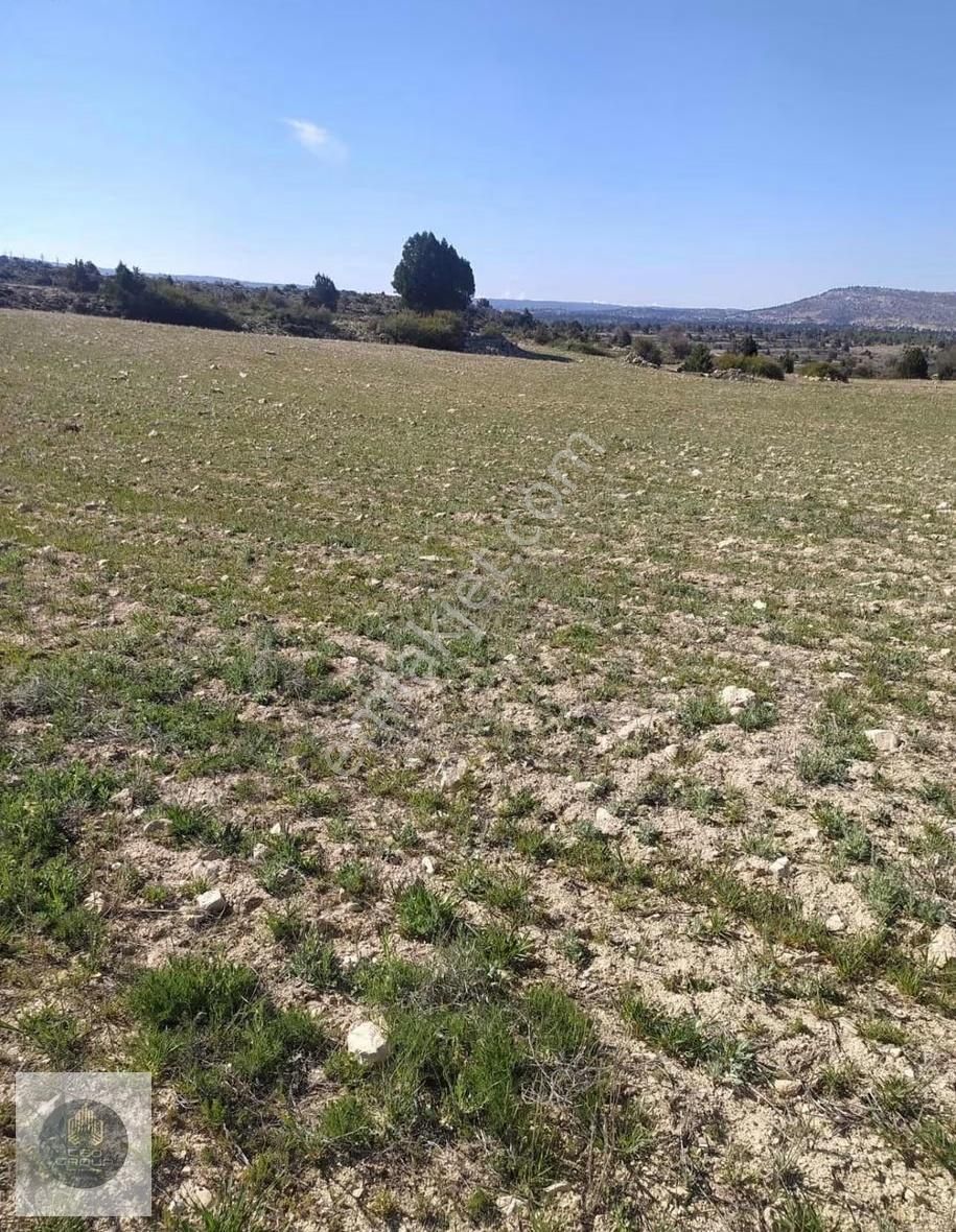 Ceo Gruptan Silifkede Geleceğe Yatırımlık Tarla - Görsel 9