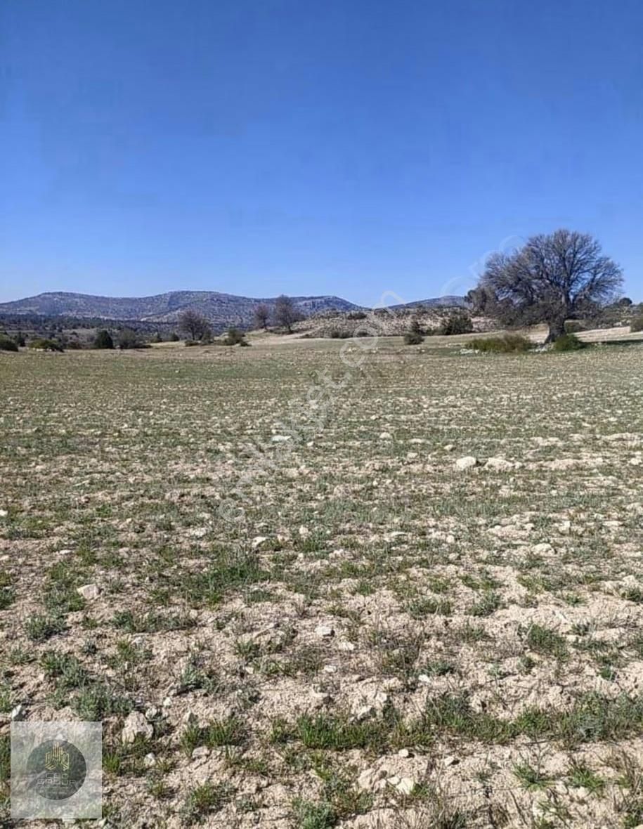 Ceo Gruptan Silifkede Geleceğe Yatırımlık Tarla - Görsel 2