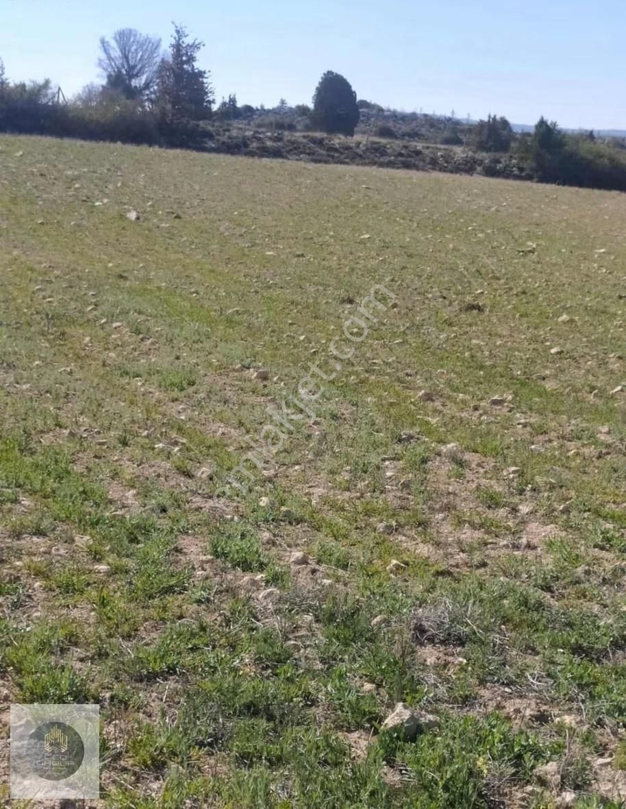 Ceo Gruptan Silifkede Geleceğe Yatırımlık Tarla - Görsel 3