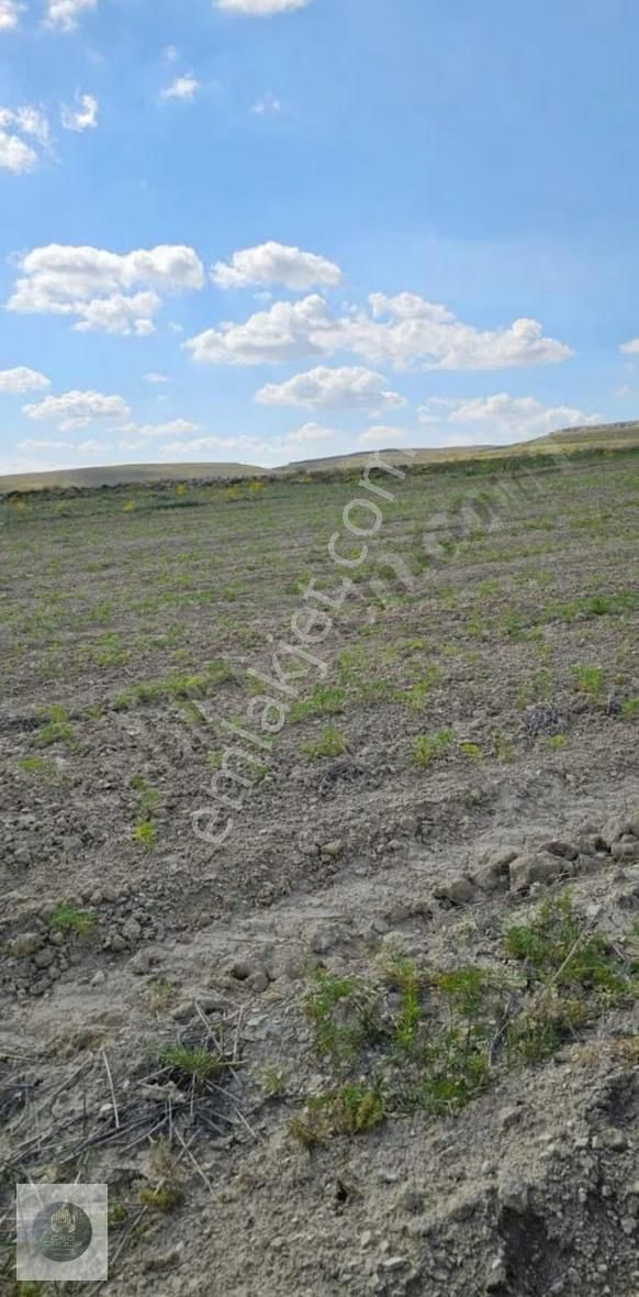 Ceo Gruptan Mutta Geleceğe Yatırımlık Tarla - Görsel 2