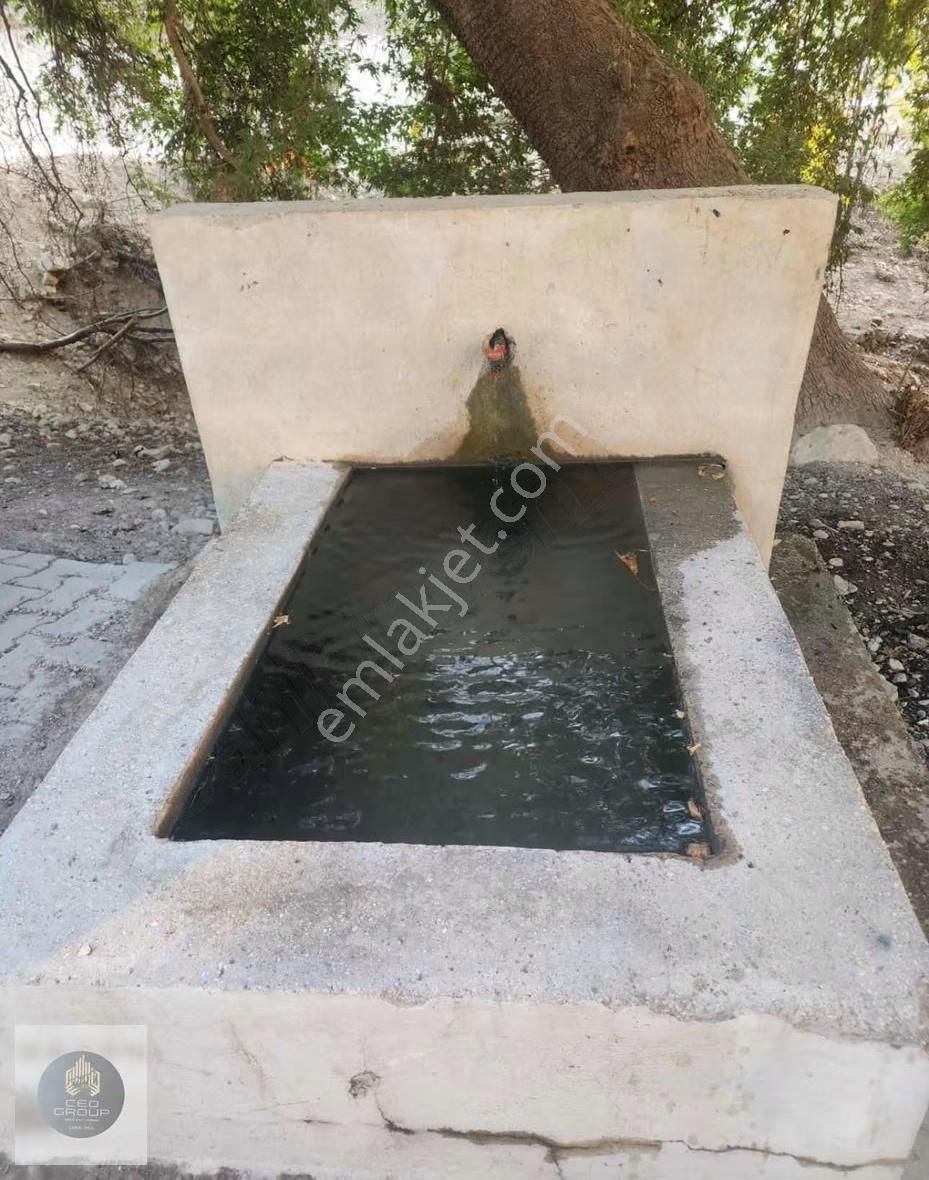 Ceo Gruptan Mutta Geleceğe Yatırımlık Tarla - Görsel 4