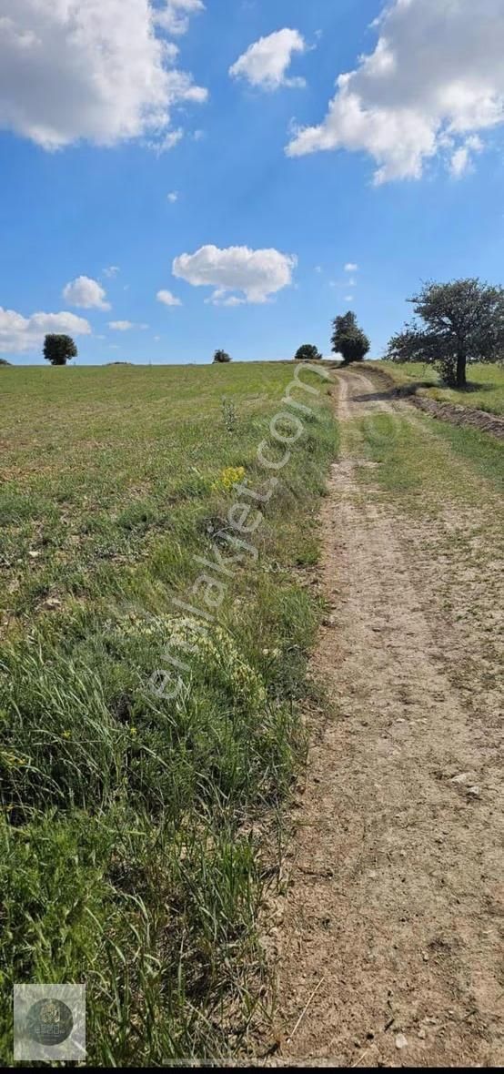 Ceo Gruptan Mutta Geleceğe Yatırımlık Tarla - Görsel 3