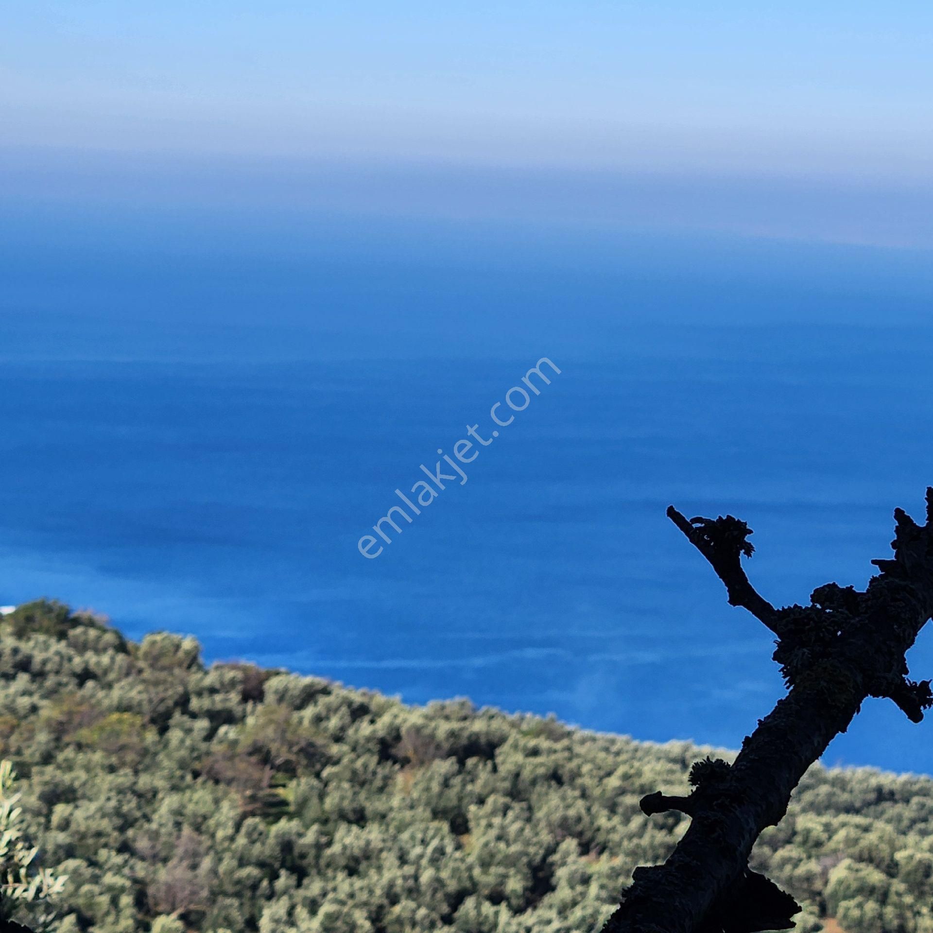 Yatırım Gayrımenkul Den Edıncık Te Denız Manzara Lı Kadastro Yoluna Cephe - Görsel 8