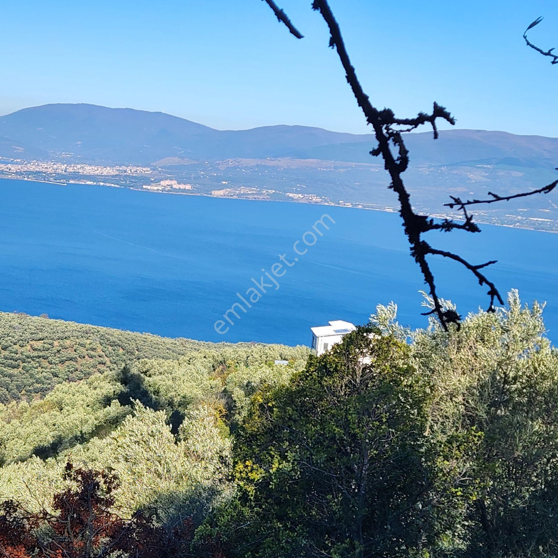 Yatırım Gayrımenkul Den Edıncık Te Denız Manzara Lı Kadastro Yoluna Cephe - Görsel 10