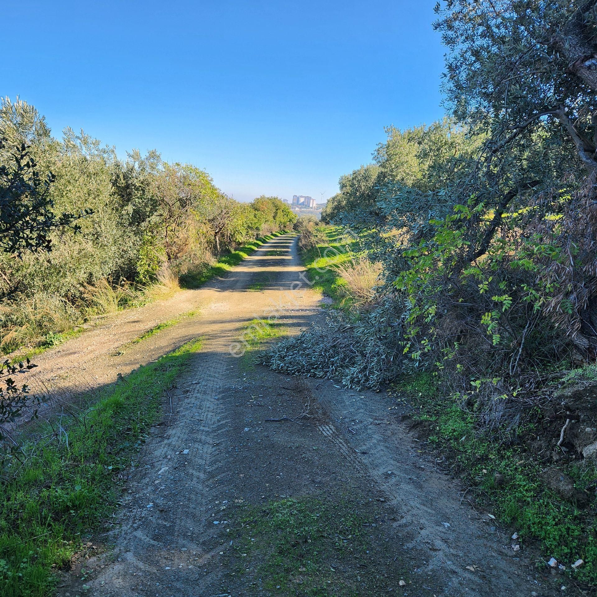 Yatırım Gayrımenkul Den Edıncık Te Denız Manzara Lı Kadastro Yoluna Cephe - Görsel 3