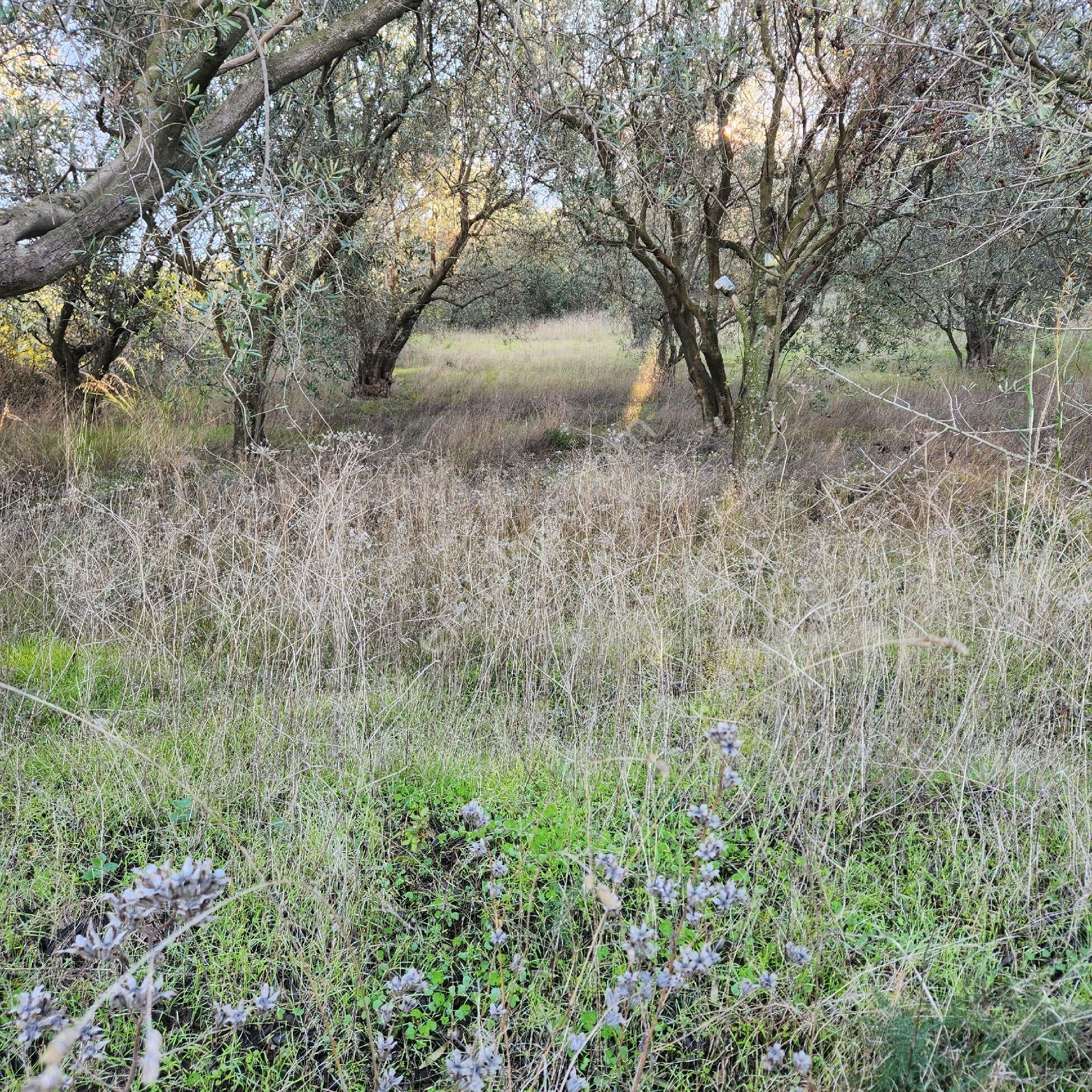 Yatırım Gayrımenkul Den Edıncık Te Denız Manzara Lı Kadastro Yoluna Cephe
