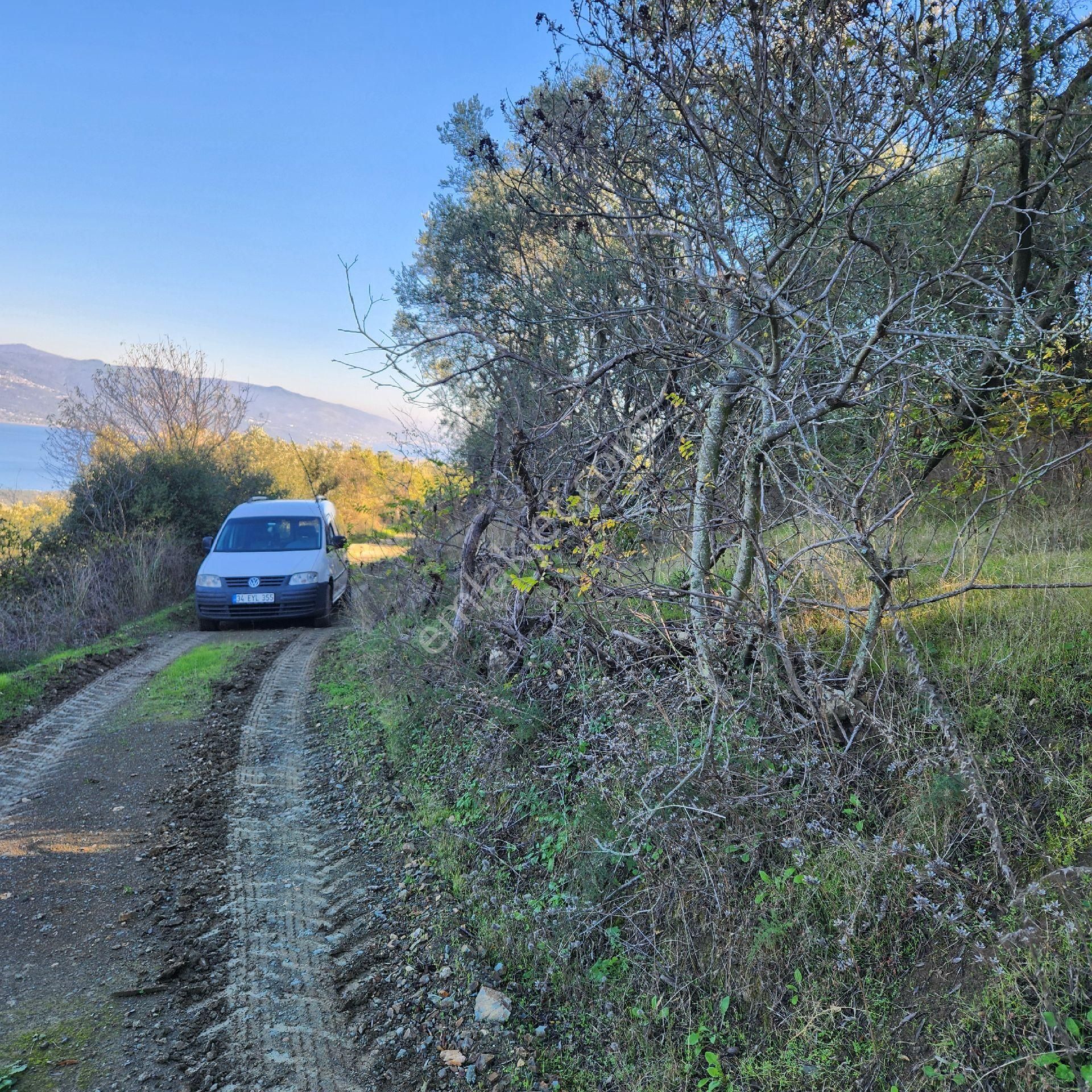 Yatırım Gayrımenkul Den Edıncık Te Denız Manzara Lı Kadastro Yoluna Cephe - Görsel 7
