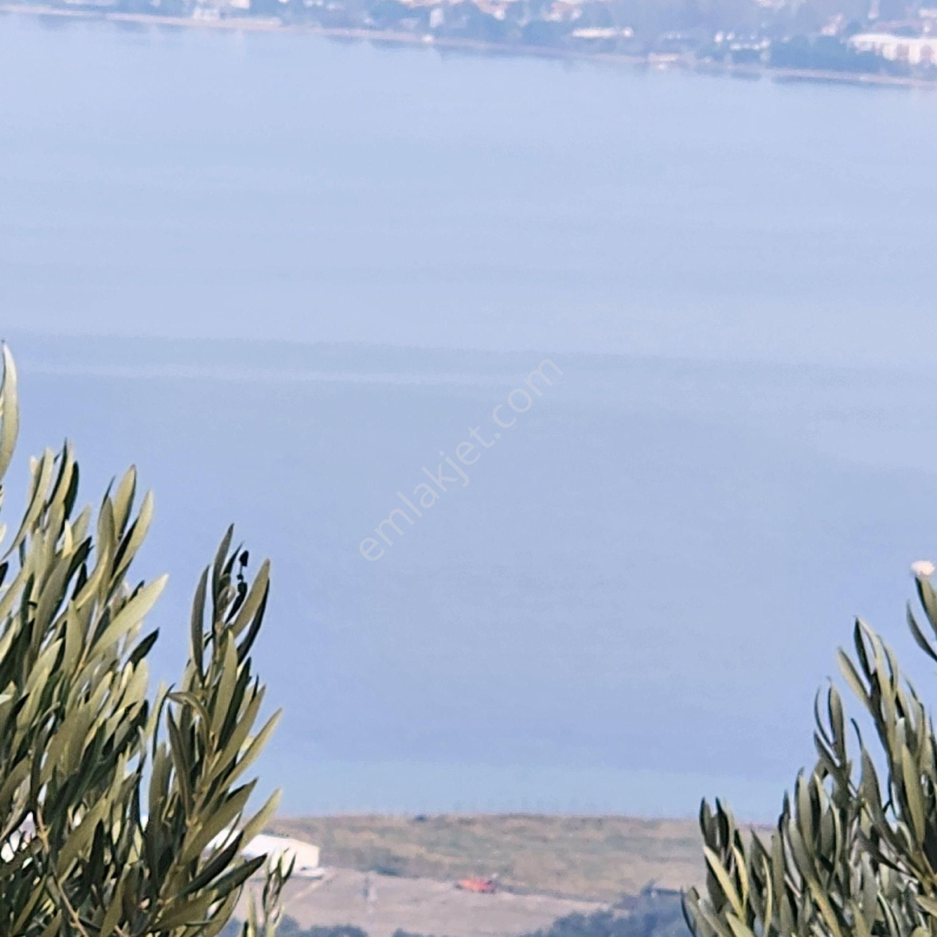 Yatırım Gayrımenkul Den Edıncık Te Denız Manza Lı Kadastro Yoluna Sıfır 4600 M2 Zeytınlık - Görsel 6